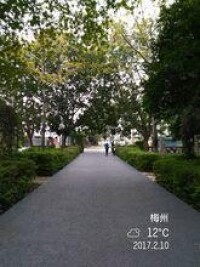 劍英公園1