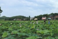 青雲鎮