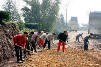 聯盟村[江蘇省常熟市虞山鎮興福管理區下轄村]