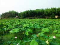 營上村[安遠鎮營上村]