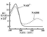 NAD的吸光曲線