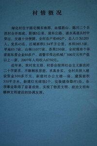 綠化村[浙江省紹興市諸暨市陳宅鎮下轄村]