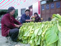 牛場鎮[貴州省黔南州福泉市牛場鎮]