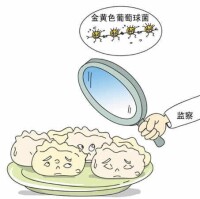 腸毒素性食物中毒