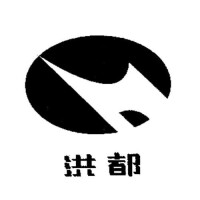 中國洪都航空工業集團研製的L-15戰鬥教練機