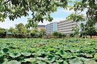 廣西經濟職業學院校園風景