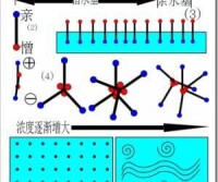 日食沙羅周期演演算法分析