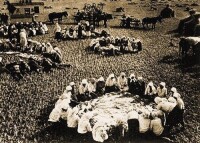 蘇聯集體農莊莊員一起在田間用餐