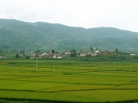 文峰村全景