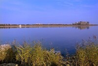 天津東麗湖