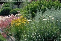 密蘇里植物園