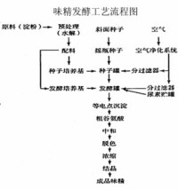 發酵