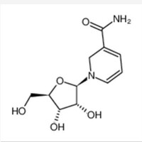 分子結構圖