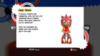 Amy&#039;s profile in Sonic Generations.