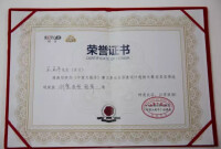 王亞平獲得《中國大能手》創意造型冠軍