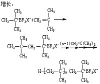 聚異丁烯結構單元