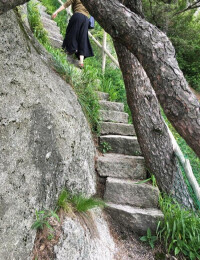 妙道山國家森林公園自然風景