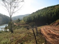 柴河村[雲南省保山市隆陽區板橋鎮村落]