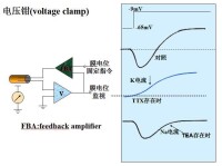 電壓鉗