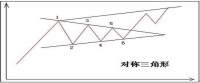 三角形整理形態