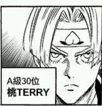 桃TERRY