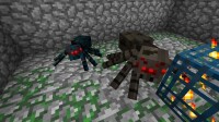 洞穴蜘蛛與普通蜘蛛的比較