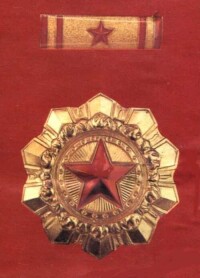 二級紅星功勛榮譽章