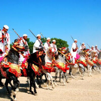 摩洛哥騎兵參加國王穆罕默德六世結婚慶典