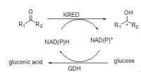 NAD(P)---NAD(P)H循環示意圖