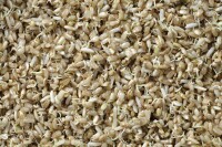 發芽糙米