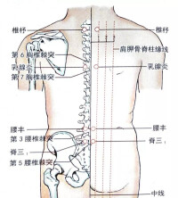 大椎穴