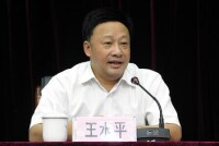 王水平