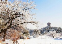 安洪曉拍攝嵩山雪景作品