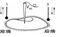 圖1 草履蟲膜電位的引導。