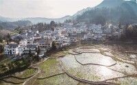 龍潭村[雲南省紅河開遠市大庄回族鄉龍潭村]