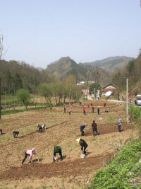 茅坪回族鎮