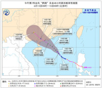 颱風鸚鵡