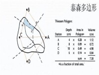 泰森多邊形