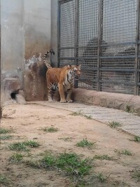 濟南動物園