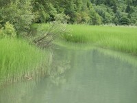 東黃花川鄉