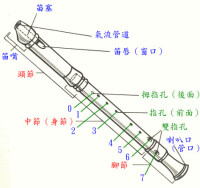 （圖）苗笛