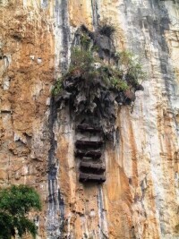 三峽懸棺