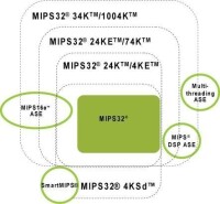 MIPS特定應用擴展