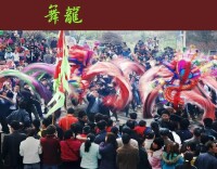 攝影組圖《舞龍》