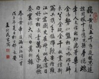 王新民書法作品