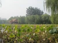 鏡水雲飛（遠景）