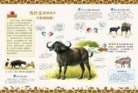 趣味圖解動物大百科插圖