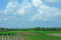 湄公河平原