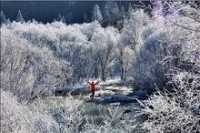 雪海霧淞