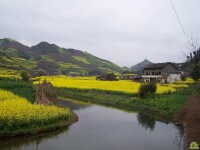 大河村[雲南省昭通市威信縣扎西鎮大河村]